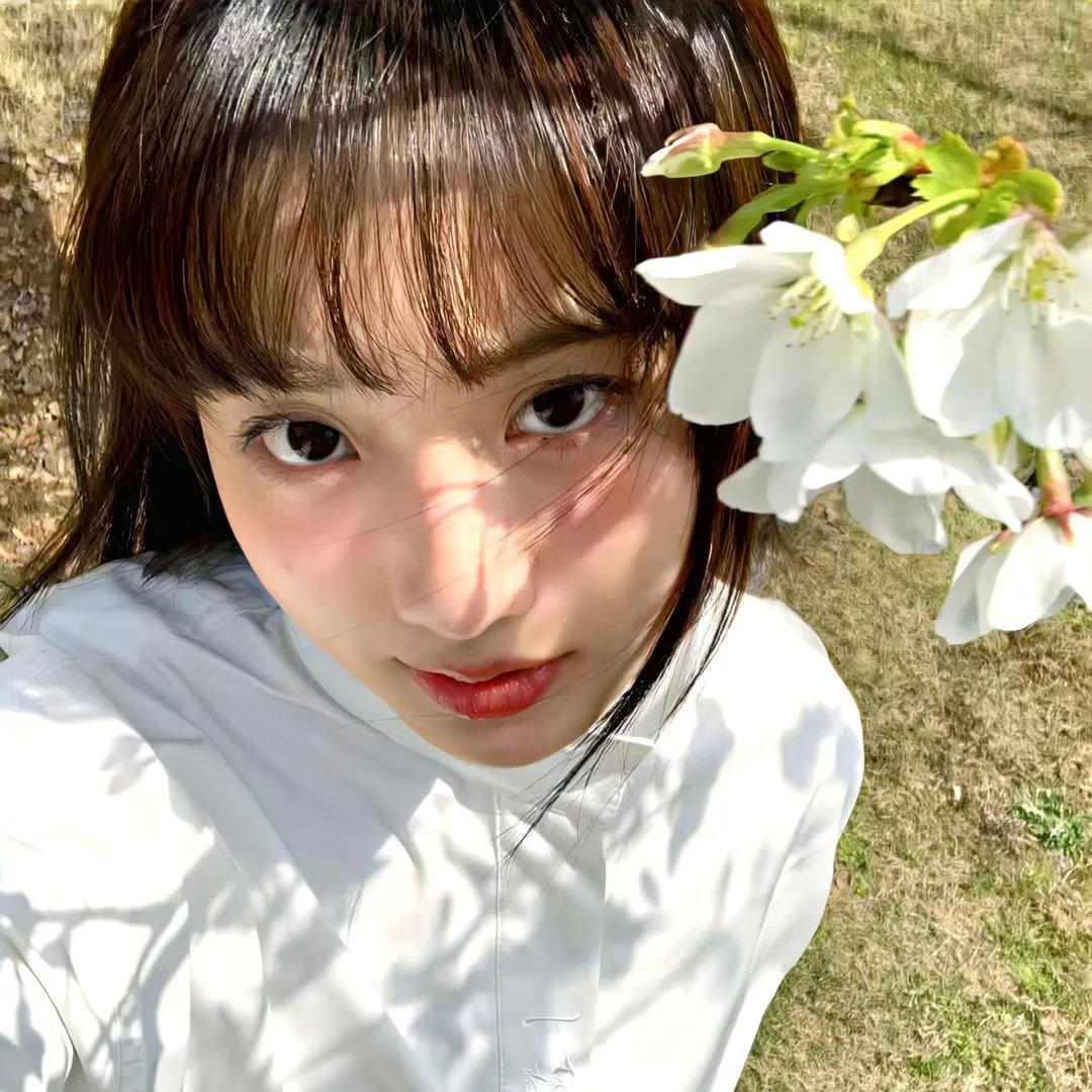武装起来的好莱坞